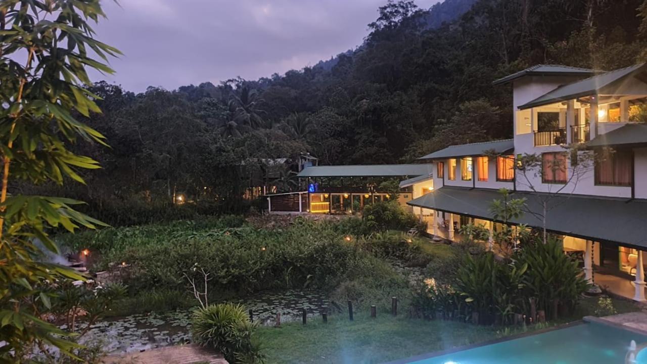 Explore Sinharaja Rain Forest Tour Camp Dombagoda Exteriér fotografie