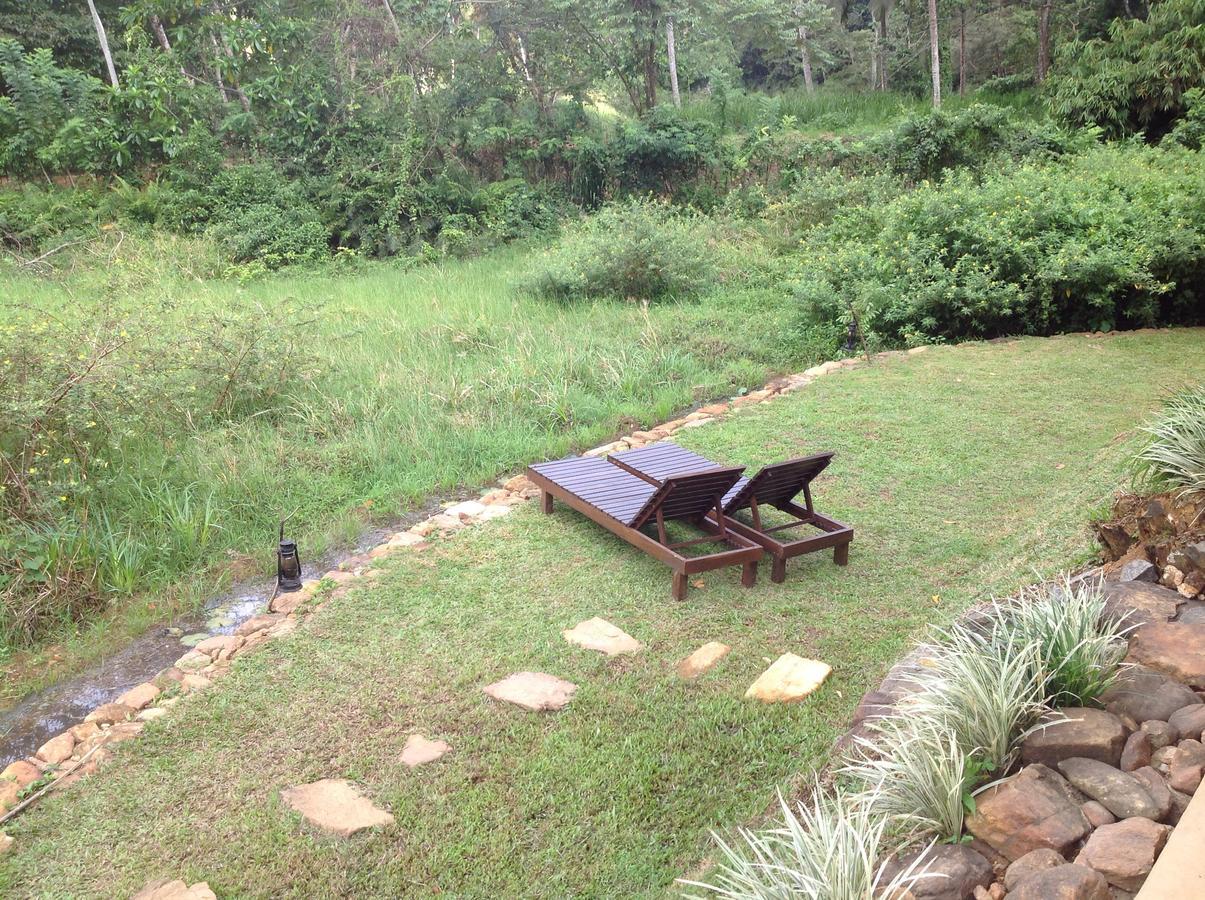 Explore Sinharaja Rain Forest Tour Camp Dombagoda Exteriér fotografie