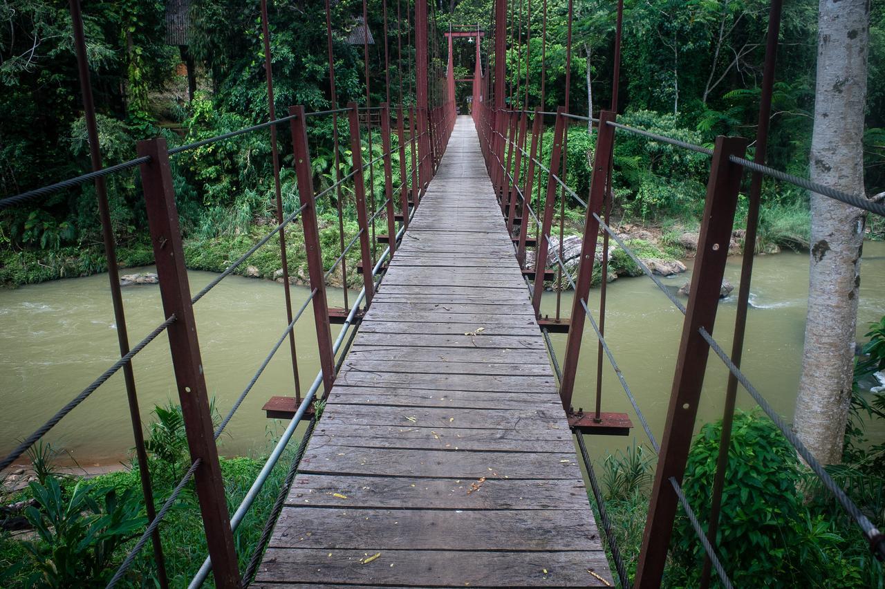 Explore Sinharaja Rain Forest Tour Camp Dombagoda Exteriér fotografie