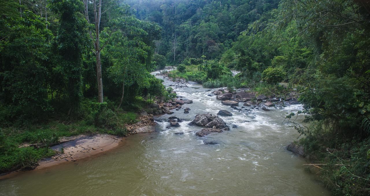 Explore Sinharaja Rain Forest Tour Camp Dombagoda Exteriér fotografie