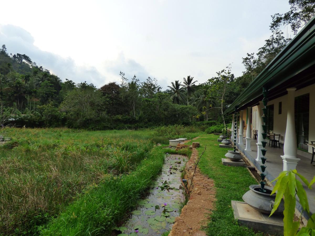 Explore Sinharaja Rain Forest Tour Camp Dombagoda Exteriér fotografie