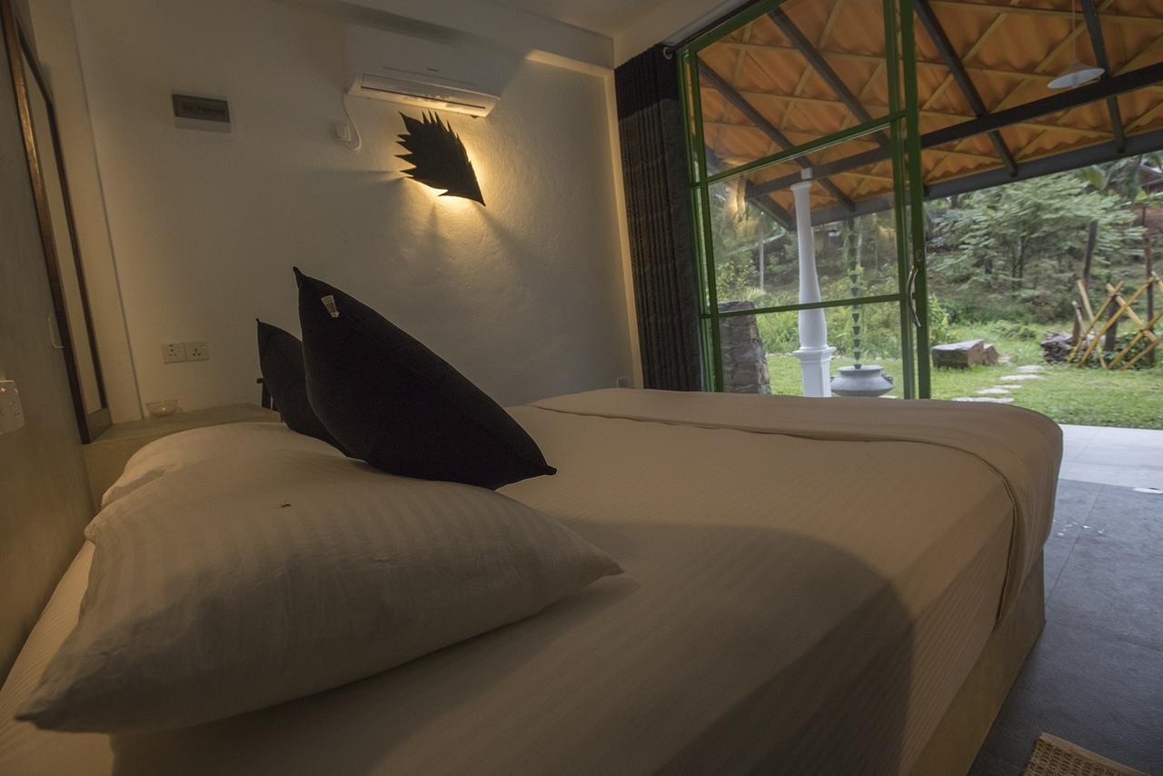 Explore Sinharaja Rain Forest Tour Camp Dombagoda Exteriér fotografie